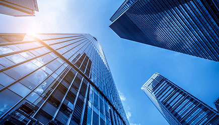 Company Overview